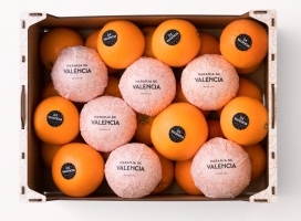 Naranja de Valencia-巴伦西亚桔子