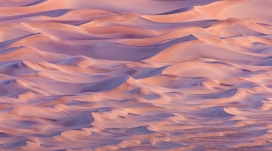 粉色沙漠