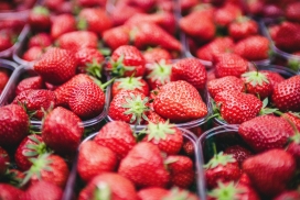 高清晰新鲜草莓水果写真壁纸