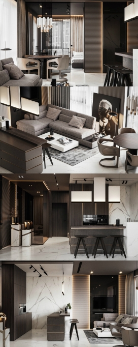 两间紧凑型家庭公寓室内设计