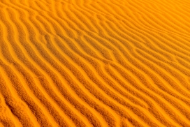 金色波浪型沙漠