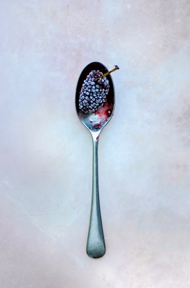 铁质调羹中的树莓