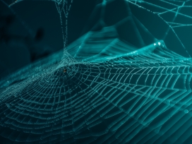 雷达形状的蜘蛛网