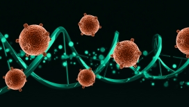 蓝色螺旋病毒DNA