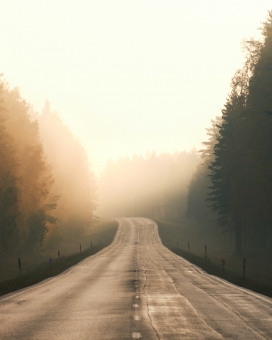 雾气的早晨公路