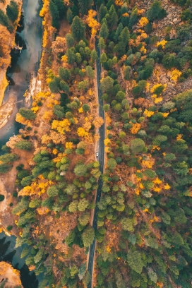 高空俯拍的秋季森林路