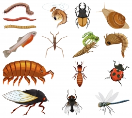 多种卡通爬行飞行昆虫素材下载