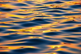 金色湖水图片