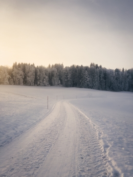 冬季雪路风景图