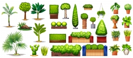 绿色盆栽植物素材下载