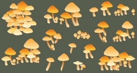 卡通泽森林有毒蘑菇真菌蘑菇素材下载