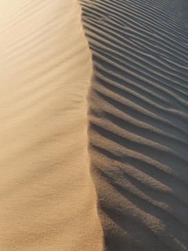 金色波浪沙漠脊背图