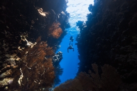 海底深海潜泳-探索未知的海洋世界