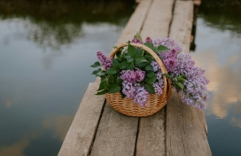 木桥上装满紫色欧丁香花瓣的竹篮子