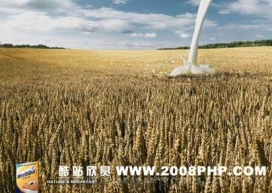 weetabix牛奶小麦广告欣赏