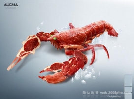 欧美Aucma冰箱创意广告：保鲜
