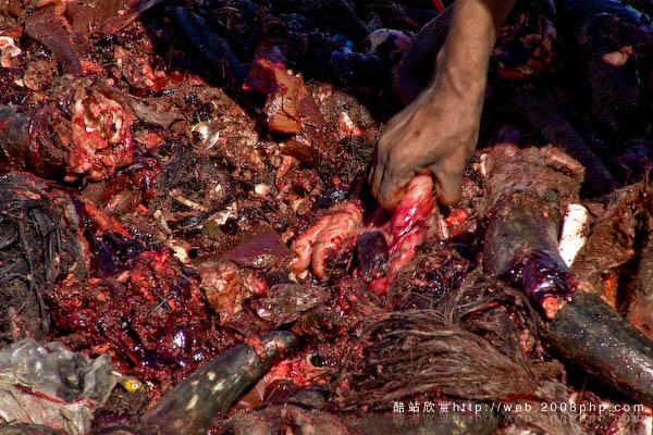 巴西垃圾场工人拾垃圾场面摄影---酷图编号9