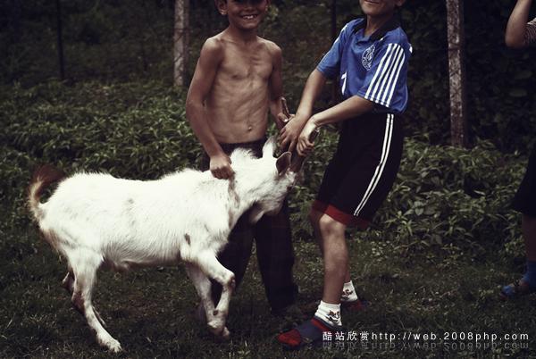 Turks in Georgia土耳其人居民在格鲁吉亚现实生活摄影欣赏---酷图编号9