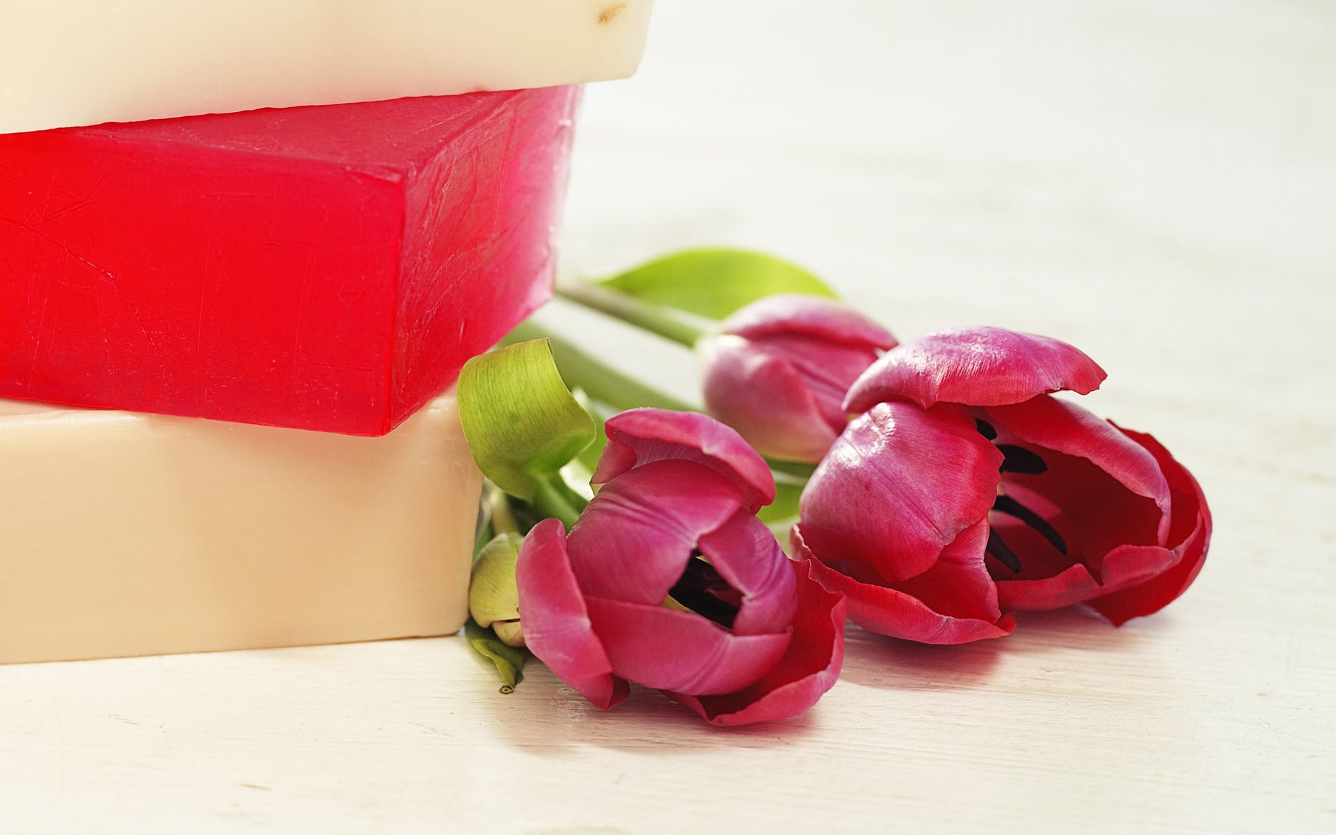 韩国高清晰SPA按摩水疗物品图片---酷图编号26