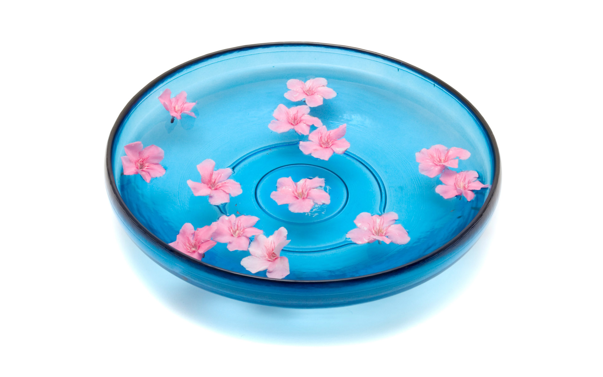 韩国高清晰SPA按摩水疗物品图片---酷图编号19