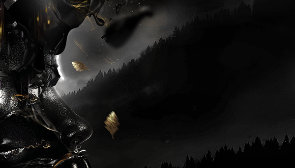 欧美超酷黑色主题插画-天鹅湖---酷图编号3