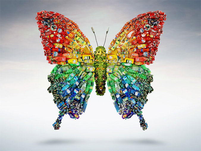 意大利cinemambiente新生的蝴蝶蜕变