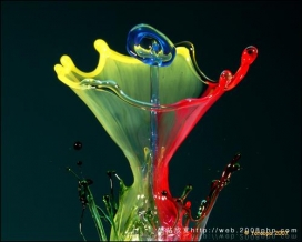 https://www.2008php.com/比利时极具创意的液态水花组合创意摄影欣赏