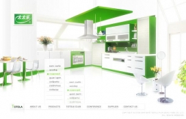 中国上海徐顺梦：太太乐食品VS化妆品网站截图