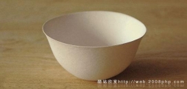 日本wasara环保绿色纸餐具