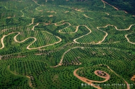 欧美卫星高空鸟瞰俯拍的世界各地风情图片