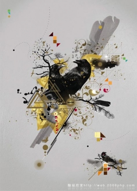 墨西哥乌鸦鸟类手绘插画欣赏