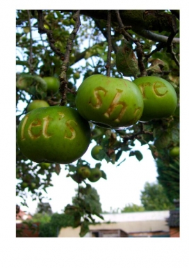 欧美字母字体与植物的相结合设计