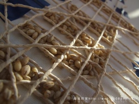 丹麦设计师：布线、胶布交织的艺术品设计欣赏