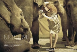 法国ELLE - Into the Wild：世界女性时装之苑-放归野外摄影