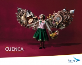 厄瓜多尔航空公司TAME激情创意组合飞翔翅膀平面设计欣赏