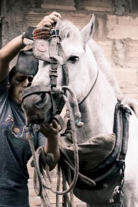 https://www.2008php.com/英国Poor Horse Soho Magazine 苏豪杂志-可怜的马与车夫电影效果摄影欣赏