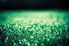 欧美A Walk Around Town户外草地风景随意摄影