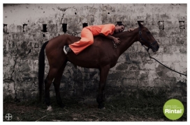 欧美Rintal颗粒剂绵羊消化道寄生虫平面宣传