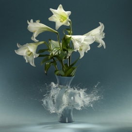 欧美Flower花瓶结合水花瓶子爆破设计欣赏