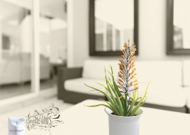 美国家居环境平面广告设计