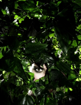 欧美2010创意商业广告摄影图片欣赏