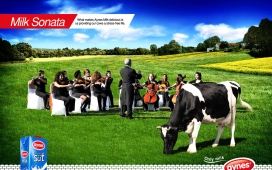国外AYNES牛奶广告设计--为奶牛原生态音乐+专业配料
