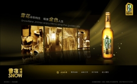 北京海淀区优秀网页设计师鲁力：雪花啤酒网站界面设计欣赏