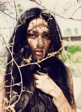 土耳其Cactaceae时尚摄影