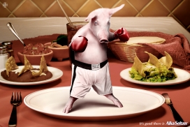 国外Alka Seltzer食品广告-人性化的动物动作-空手道