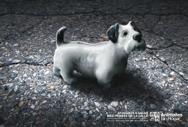 美国Animales Sin Hogar爱护动物狗公益广告-帮助我们找到猎犬狗一个家