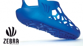 工业设计：Zebra footwear鞋设计