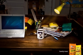 欧美Alican Dog Food宠物狗食物广告-家庭治疗