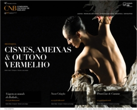 欧美CNB Website时尚网站展示截图