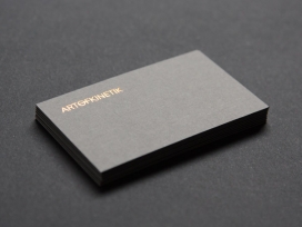 欧美Art of Kinetik / 2010品牌设计